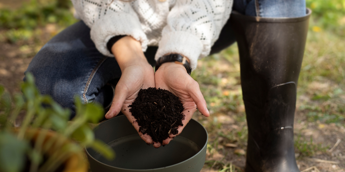 Healthy Soil